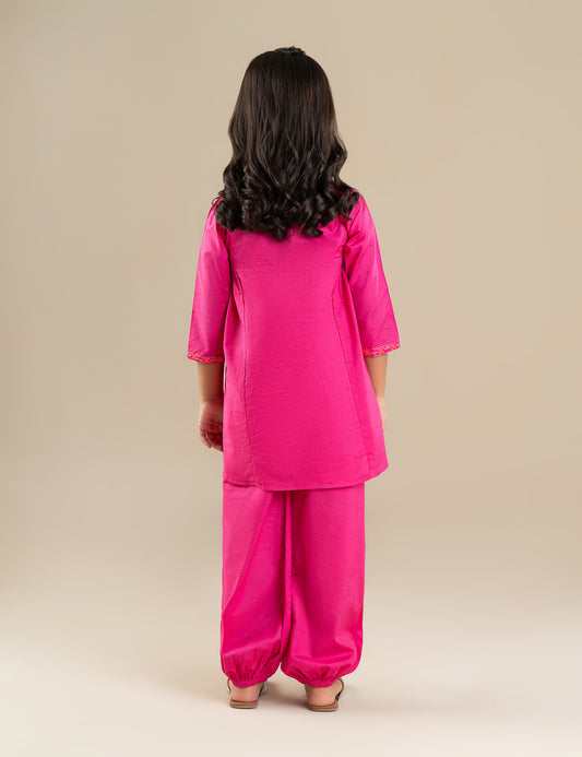 2 PIECE ETHNIC EMBROIDERED SUIT