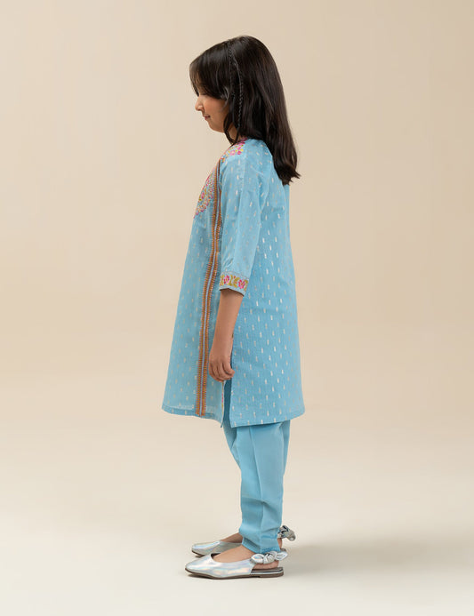 2 PIECE ETHNIC EMBROIDERED SUIT