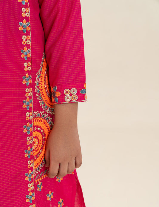 2 PIECE ETHNIC EMBROIDERED SUIT