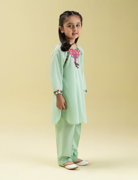 2 PIECE VIBRANT EMBROIDERED SUIT