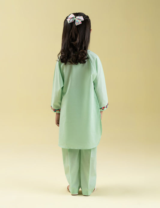 2 PIECE VIBRANT EMBROIDERED SUIT