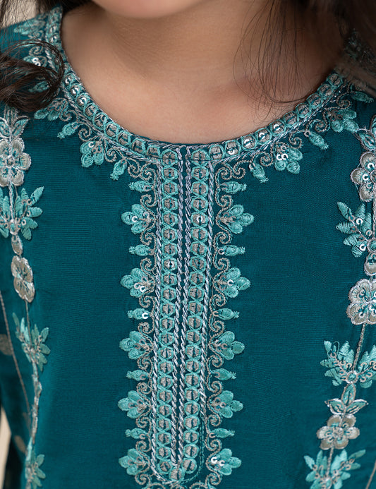 2 PIECE ETHNIC EMBROIDERED SUIT