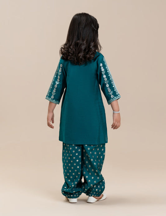 2 PIECE ETHNIC EMBROIDERED SUIT