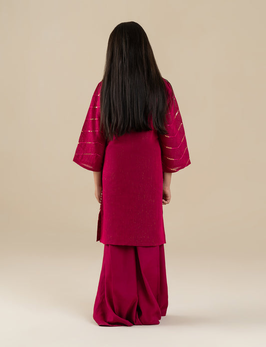 2 PIECE ETHNIC EMBROIDERED SUIT
