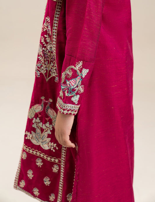 2 PIECE ETHNIC EMBROIDERED SUIT