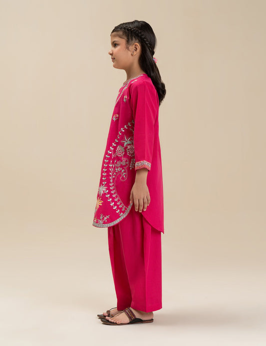2 PIECE STYLISH EMBROIDERED SUIT