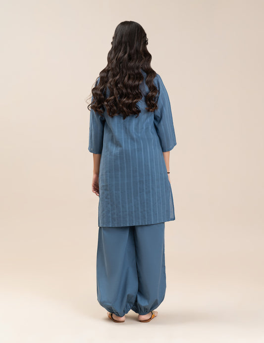 2 PIECE ETHNIC EMBROIDERED SUIT