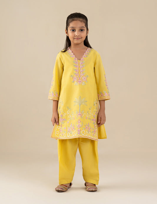 2 PIECE ETHNIC EMBROIDERED SUIT