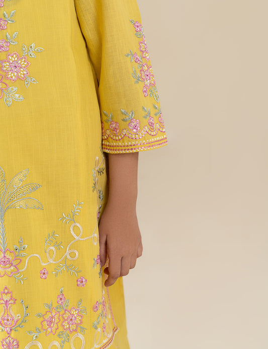 2 PIECE ETHNIC EMBROIDERED SUIT