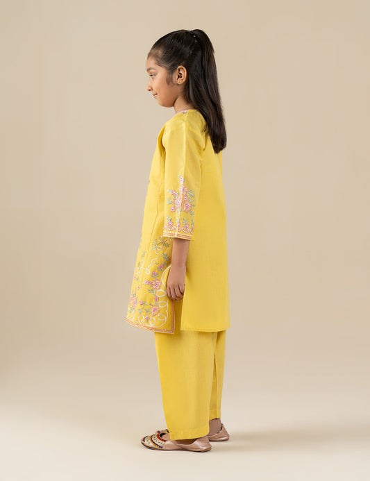 2 PIECE ETHNIC EMBROIDERED SUIT