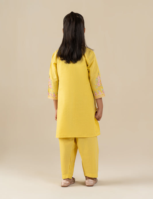 2 PIECE ETHNIC EMBROIDERED SUIT