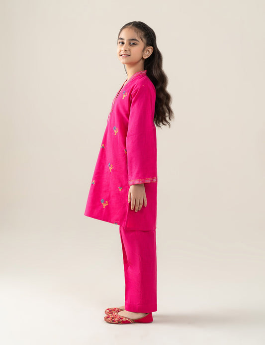 2 PIECE VIBRANT EMBROIDERED SUIT