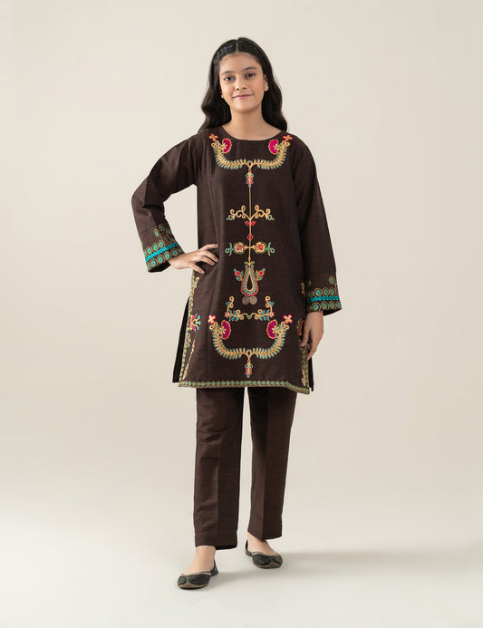 2 PIECE ETHNIC EMBROIDERED SUIT