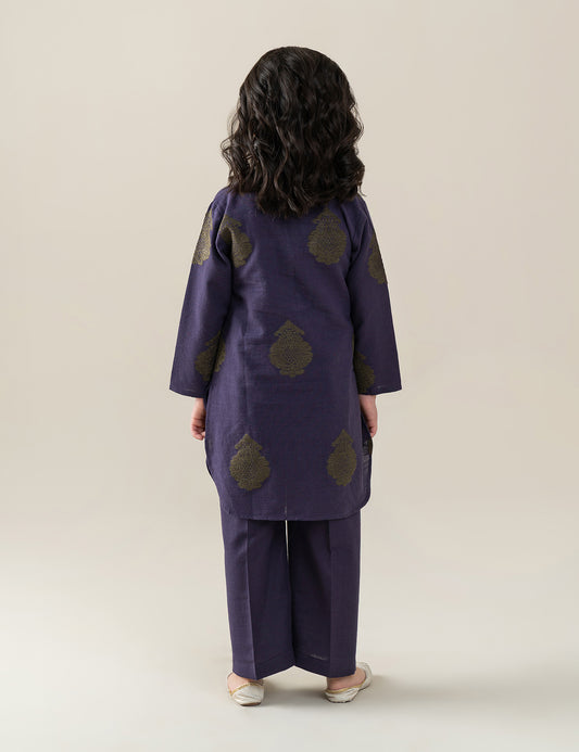 2 PIECE VIBRANT EMBROIDERED SUIT