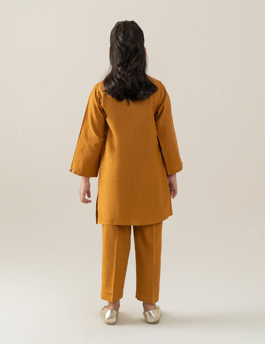 2 PIECE BUTTON DOWN EMBROIDERED SUIT