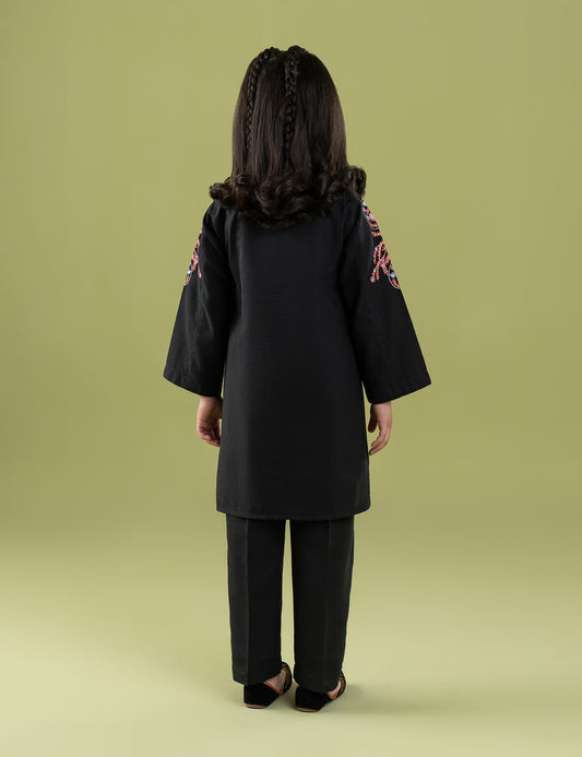 2 PIECE VIBRANT EMBROIDERED SUIT