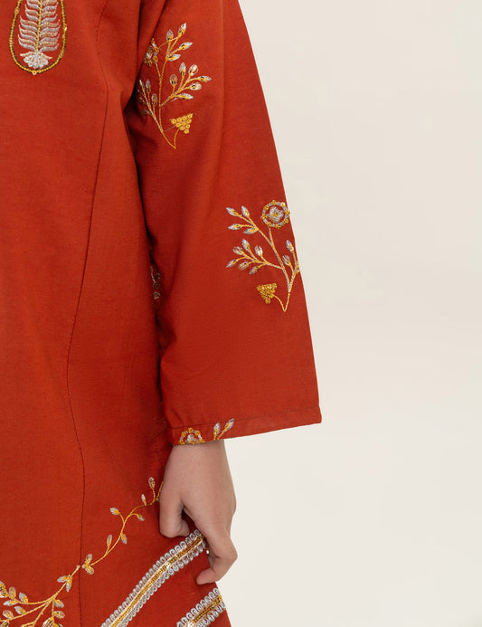 2 PIECE ETHNIC EMBROIDERED SUIT