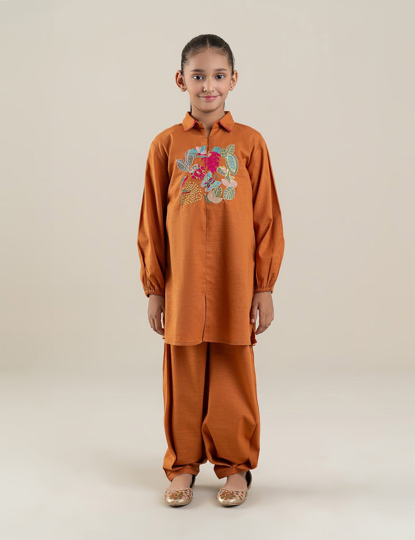 2 PIECE VIBRANT EMBROIDERED SUIT