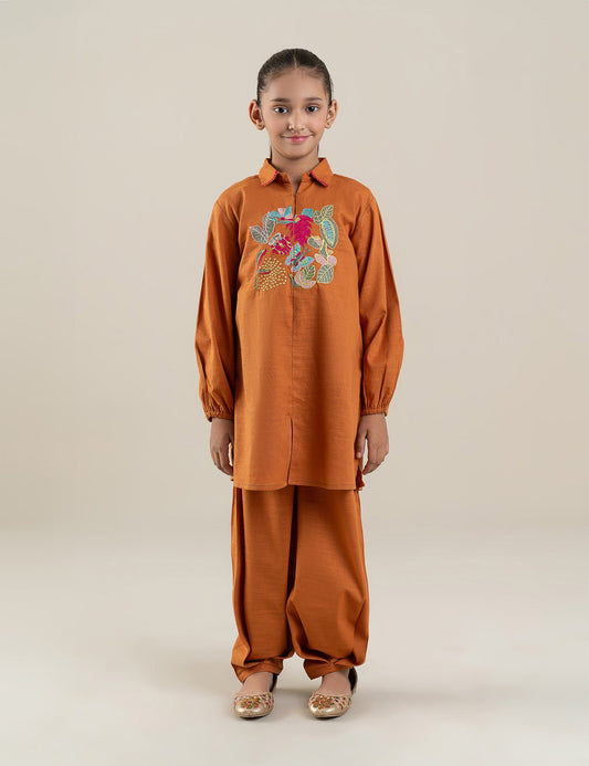 2 PIECE VIBRANT EMBROIDERED SUIT