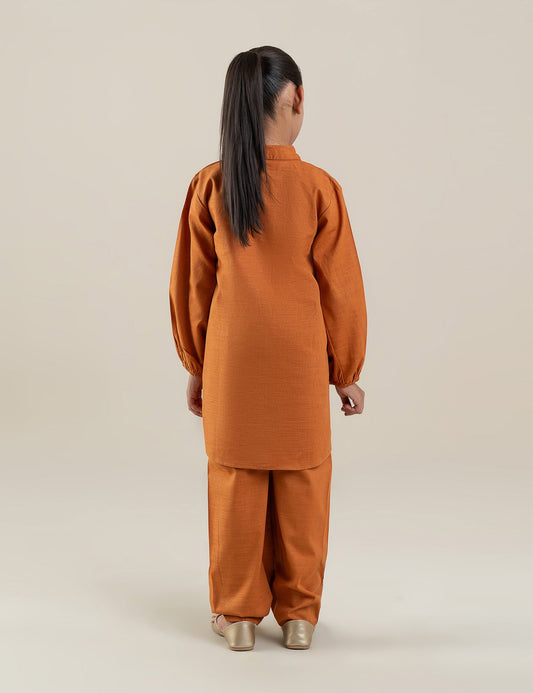 2 PIECE VIBRANT EMBROIDERED SUIT