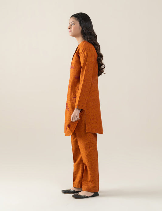 2 PIECE ALLOVER EMBROIDERED SUIT