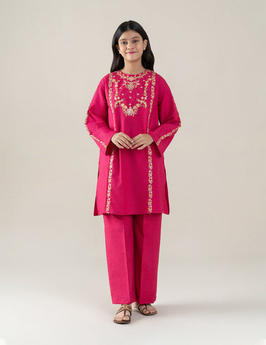 2 PIECE ETHNIC EMBROIDERED SUIT