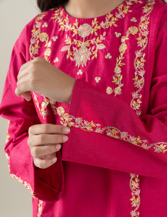 2 PIECE ETHNIC EMBROIDERED SUIT