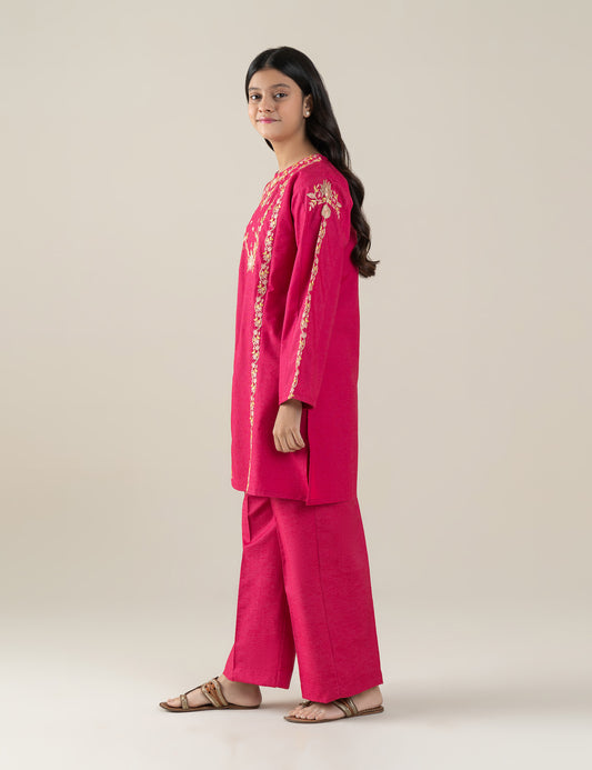 2 PIECE ETHNIC EMBROIDERED SUIT