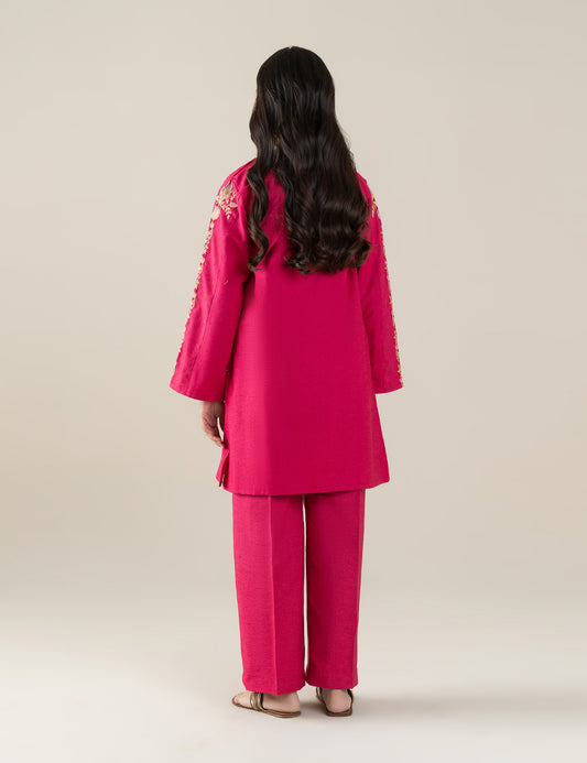 2 PIECE ETHNIC EMBROIDERED SUIT