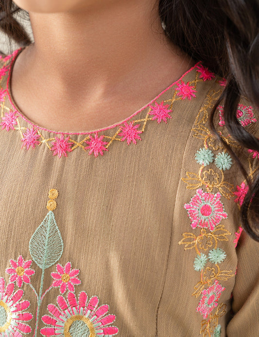 2 PIECE VIBRANT EMBROIDERED SUIT