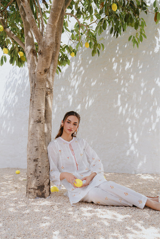 2 PIECE EMBROIDERED DORIA DOBBY SUIT (PRET)