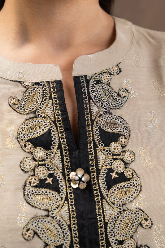 2 PIECE EMBROIDERED FANCY BADLA SUIT (LUXURY PRET)