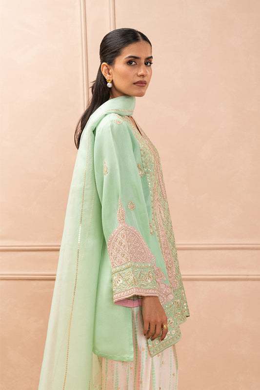 2 PIECE EMBROIDERED RAW SILK SUIT (LUXURY PRET)