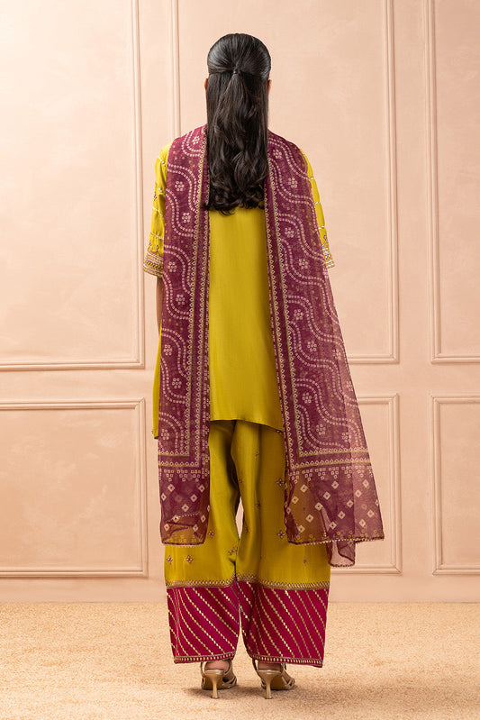3 PIECE EMBROIDERED RAW SILK SUIT (LUXURY PRET)