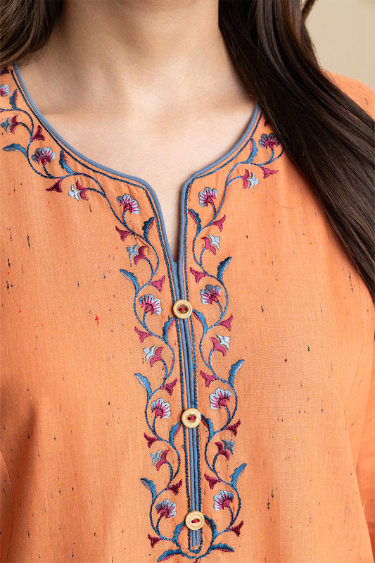 2 PIECE EMBROIDERED MULTI NEPS SUIT (PRET)