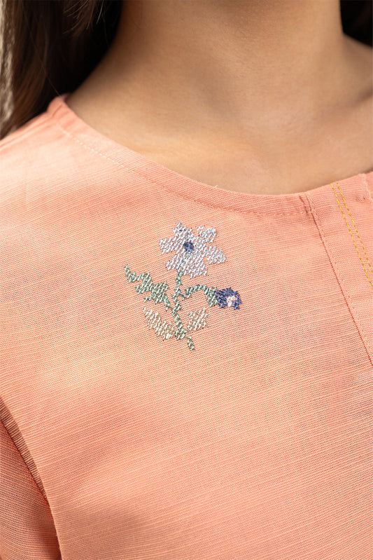 2 PIECE EMBROIDERED SLUB KHADDAR SUIT (PRET)