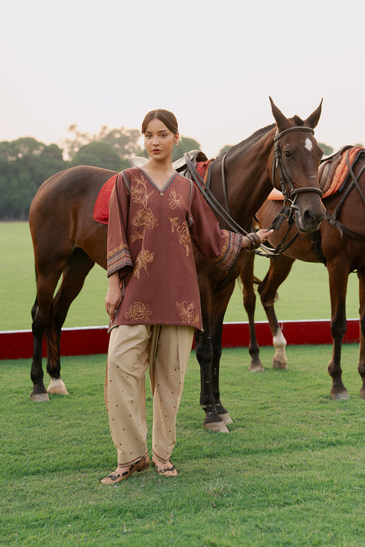 2 PIECE EMBROIDERED SLUB KHADDAR SUIT (PRET)