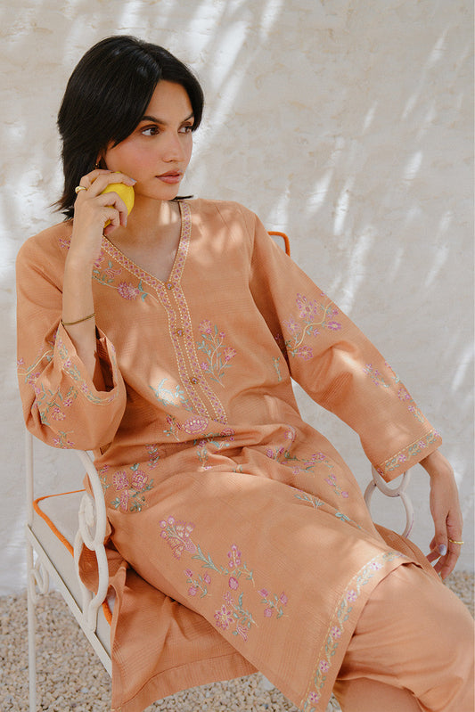 2 PIECE EMBROIDERED DORIA SUIT (PRET)